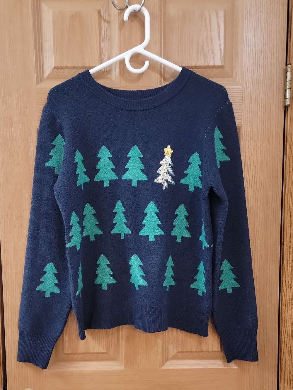 Holiday Time Navy Knit Sweater with Green Accent